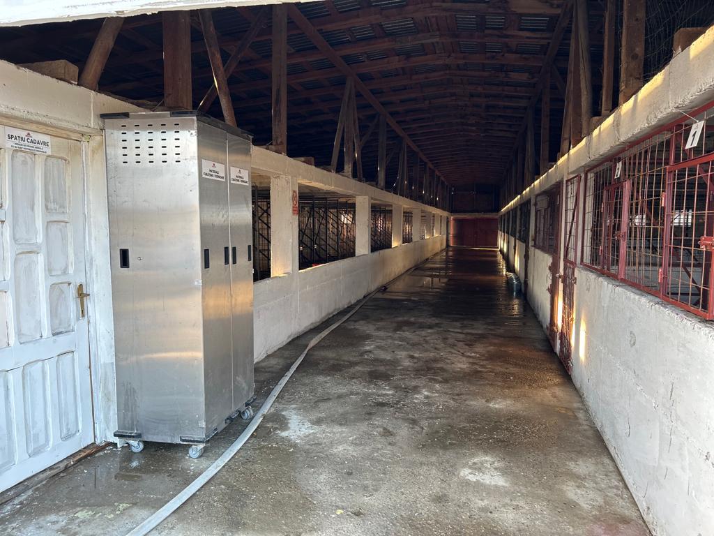 Primăria Grădiștea confirmă „iadul câinilor” de la Vrancea