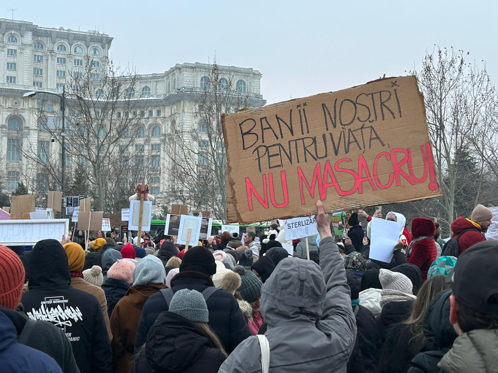 REPORTAJ | „Câinele afară, criminalii-n cușcă”. Cum a arătat protestul pentru drepturile animalelor