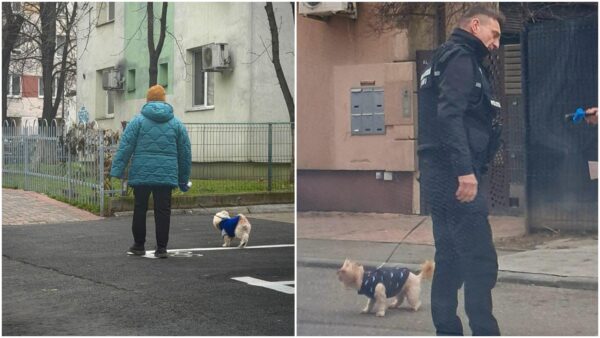 Amenzi de peste 10.000 de lei, date de Poliția Locală Sector 3 bucureștenilor care nu strâng după câinii lor.