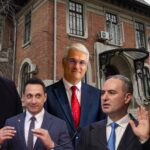 PNL de sector