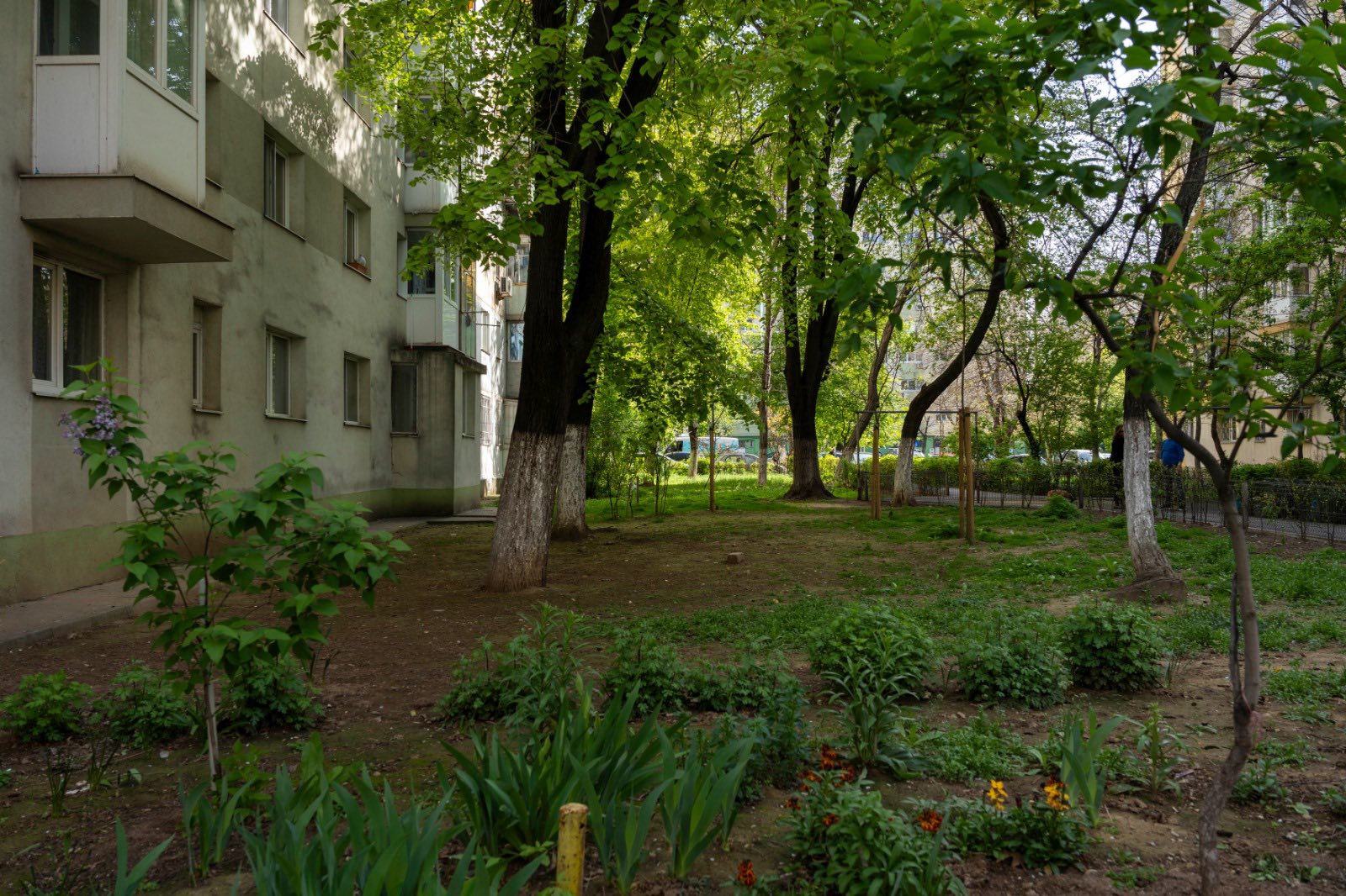Sector 2 | Concurs pentru refacerea spațiilor verzi din Pantelimon. Echipele se pot înscrie la competiția internațională C40 Students Reinventing Cities. FOTO: PS2/ Facebook