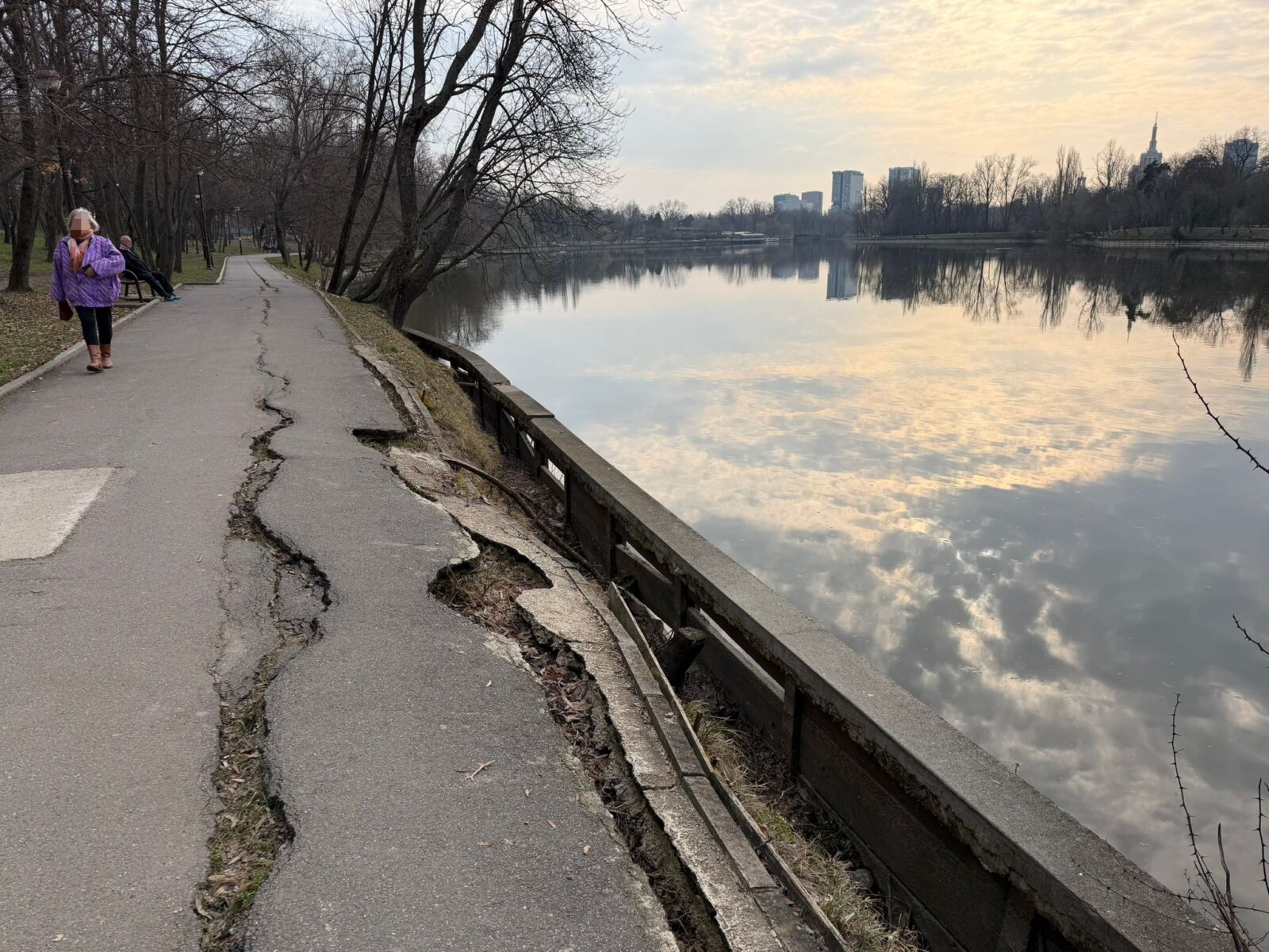 alei Parcul Regele Mihai I