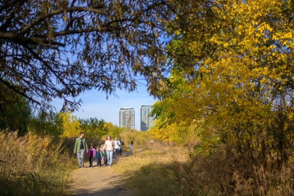 Idei de activități pentru Săptămâna Verde
