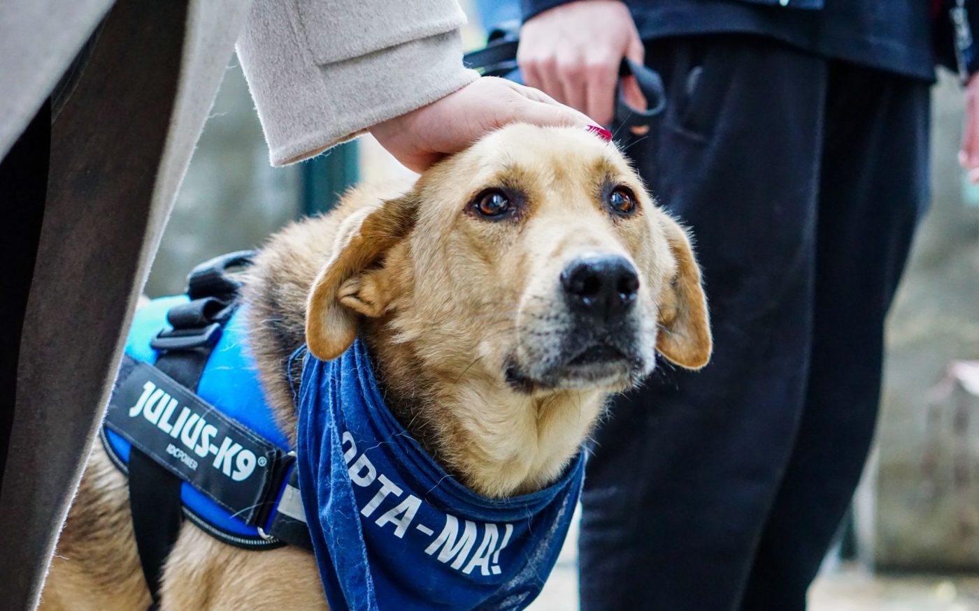 Serviciul Protecția Animalelor PetExpo
