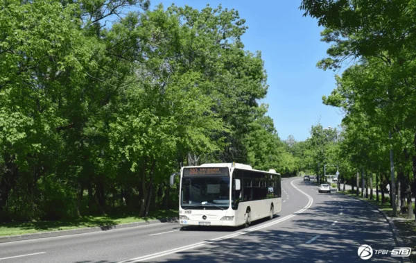 Evenimentele de Florii deviază patru linii STB în weekend | FOTO: TPBI