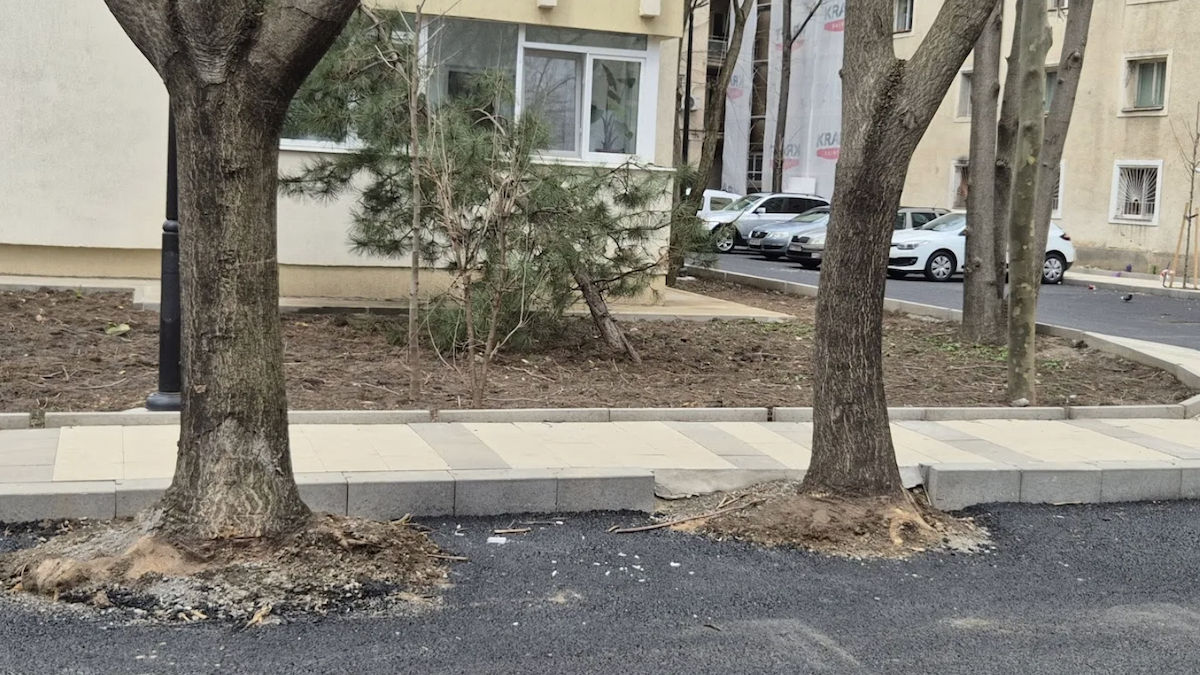 Locuri de parcare în grădinile blocurilor