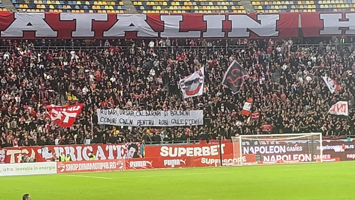 Amenzi de peste 17.000 de euro, după meciul de fotbal Dinamo-Rapid. Suporterii dinamoviști au afișat mesaje rasiste. FOTO: Mediafax