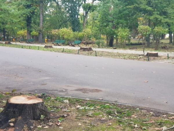 Chestionar pentru Herăstrău. Bucureștenii sunt întrebați cum vor să arate parcul, după restaurare. Foto: Arhivă