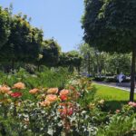 Estetica stradală din Sectorul 4 aproape 300 de milioane de euro