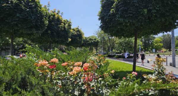 Estetica stradală din Sectorul 4 aproape 300 de milioane de euro