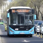 Liniile 100, 203 și 205
