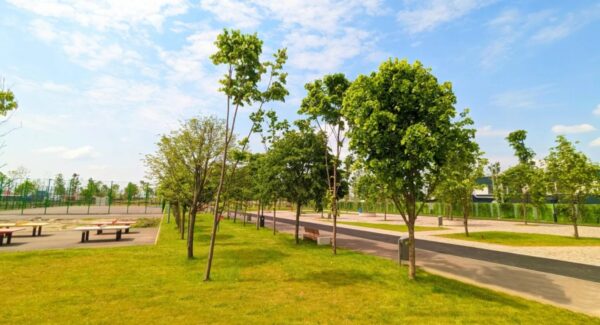 Bucureștenii vor alege numele extinderii Parcului Tudor Arghezi, după petiția împotriva „Parcului Donald Trump”. Va fi redenumit și Patinoarul Berceni Arena