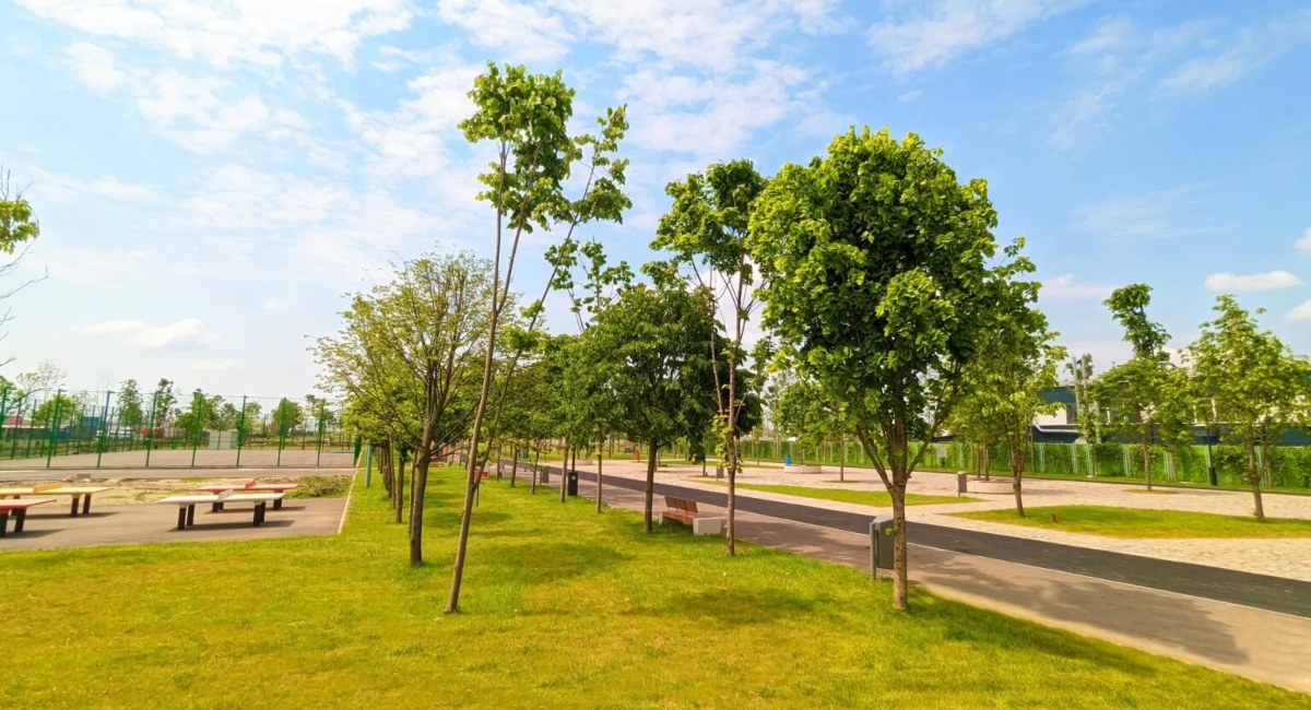 Bucureștenii vor alege numele extinderii Parcului Tudor Arghezi, după petiția împotriva „Parcului Donald Trump”. Va fi redenumit și Patinoarul Berceni Arena