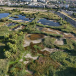 Activități dedicate naturii urbane și istoriei naturale, în Parcul Natural Văcărești | FOTO: Arhiva