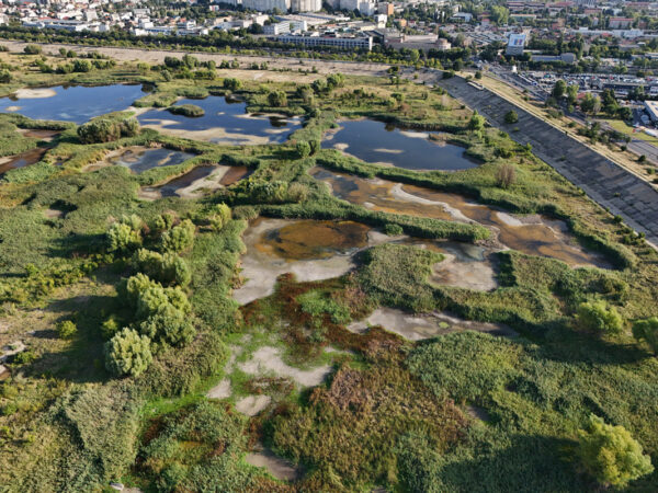 Activități dedicate naturii urbane și istoriei naturale, în Parcul Natural Văcărești | FOTO: Arhiva