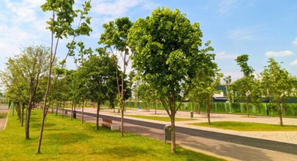 Extinderea parcului Tudor Arghezi
