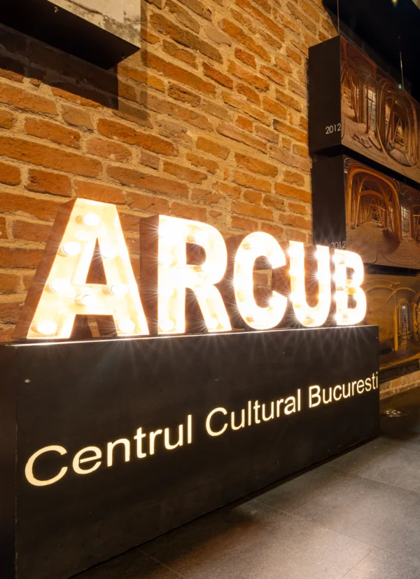 Program extins și acces gratuit, la ARCUB, în Noaptea Europeană a Muzeelor. FOTO: ARCUB