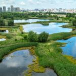 Citizen Science: Zi dedicată științei participative în Parcul Văcărești, pe 9 mai. Foto: FB / Administraţia Parcul Natural Văcăreşti