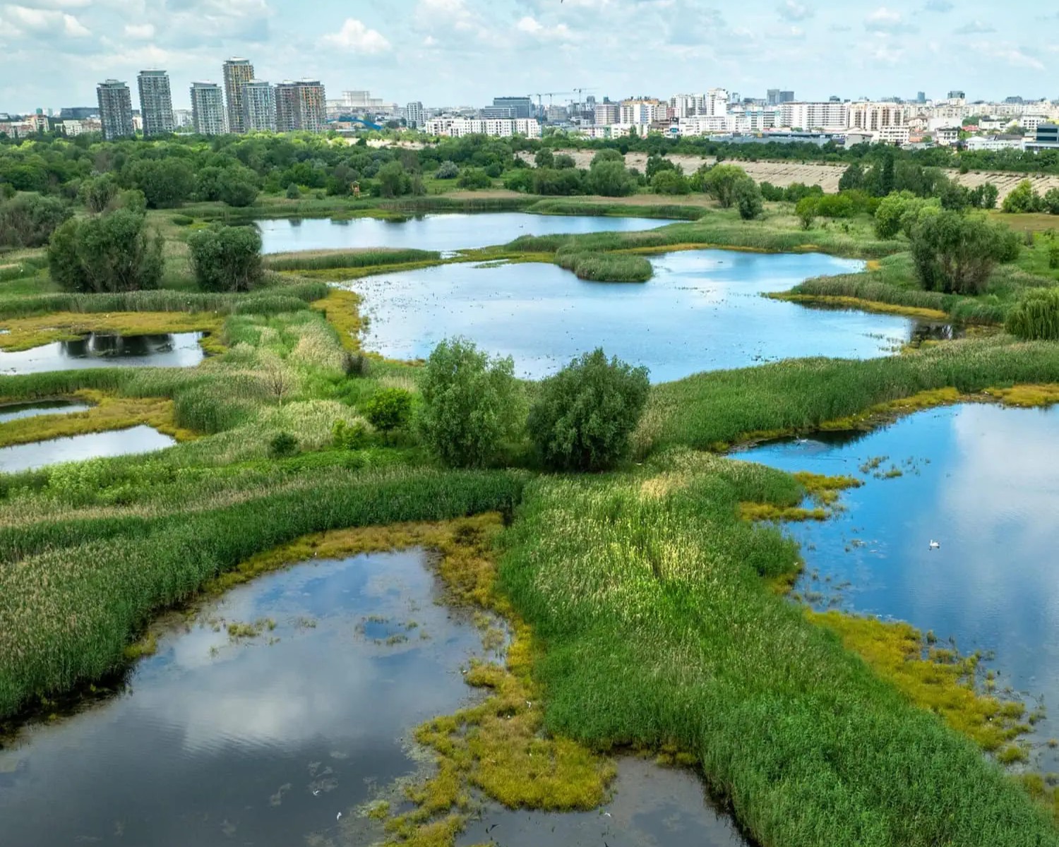 Citizen Science: Zi dedicată științei participative în Parcul Văcărești, pe 9 mai. Foto: FB / Administraţia Parcul Natural Văcăreşti