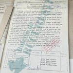 Documentele secrete ale MAE