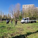 Proiectul pentru transformarea fostul parc Codrii Neamțului în centru comercial a fost respins. Trei consilieri PSD au votat „pentru”