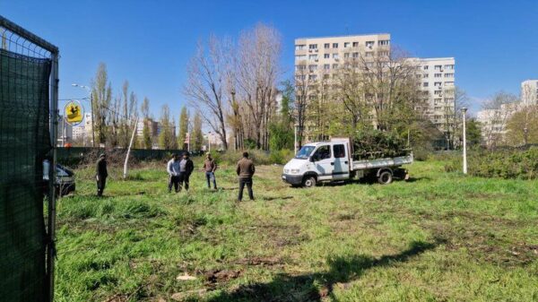 Fostul parc Codrii Neamțului ar putea deveni centru comercial. Proiectul de hotărâre, pus pentru a patra oară pe ordinea de zi