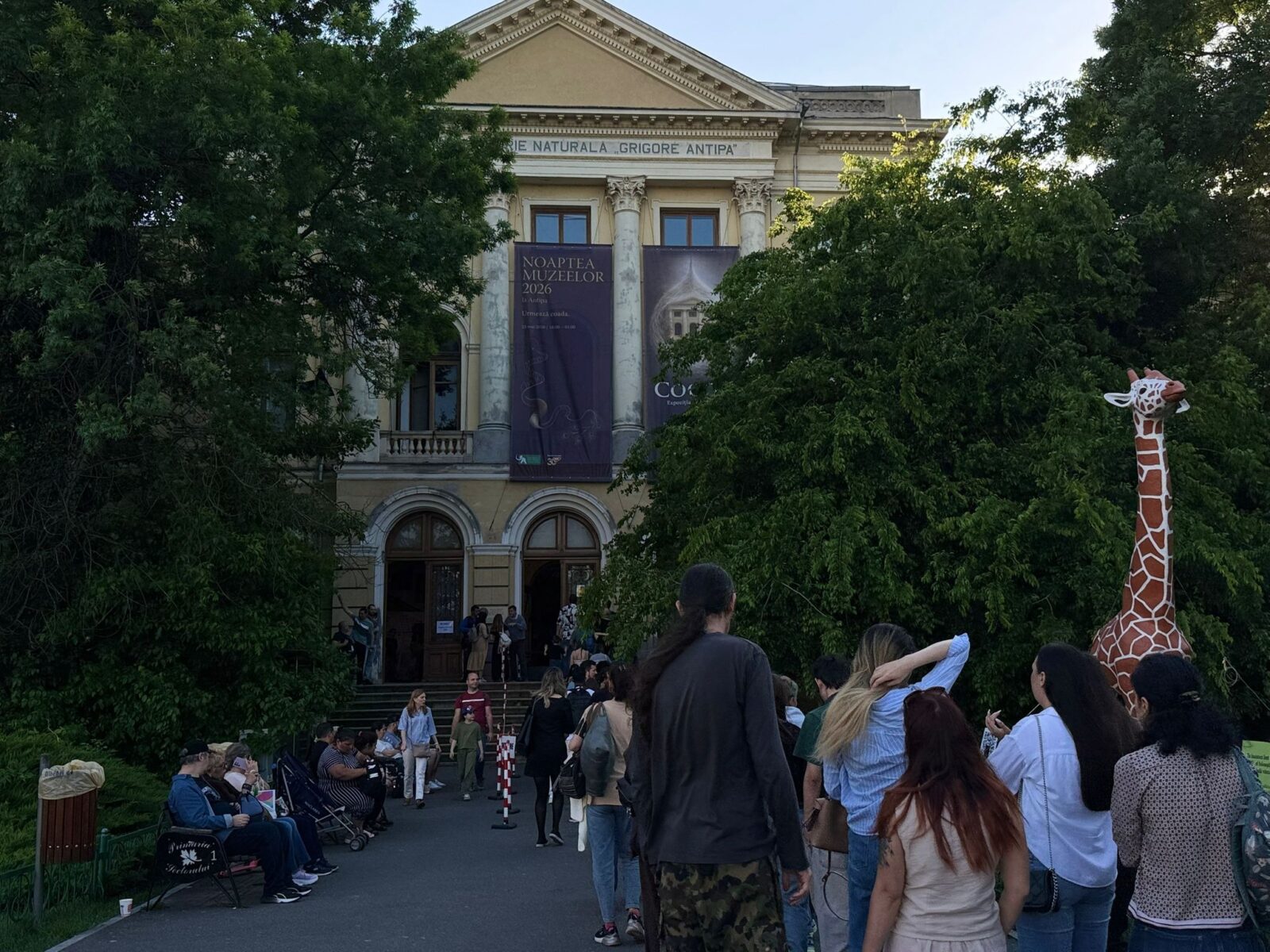 muzeele din București