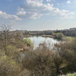Ateliere de economie circulară, tururi urbane și activități despre biodiversitate, printre evenimentele dedicate naturii din Capitală