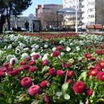 Ziua Copilăriei, sărbătorită în Parcul Florilor, din Sectorul 2. FOTO: ADP Sector 2