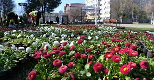 Ziua Copilăriei, sărbătorită în Parcul Florilor, din Sectorul 2. FOTO: ADP Sector 2