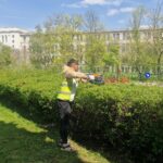întreținerea spațiilor verzi