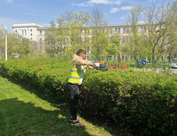întreținerea spațiilor verzi