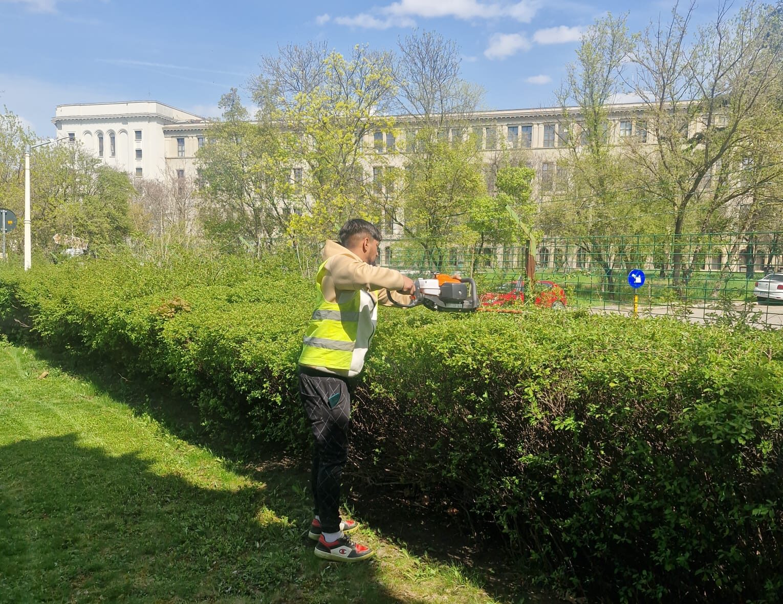 întreținerea spațiilor verzi