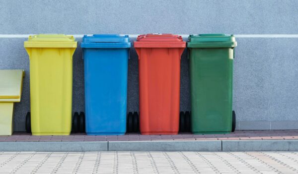 Proiect dezbatere publică plătește pentru cât arunci