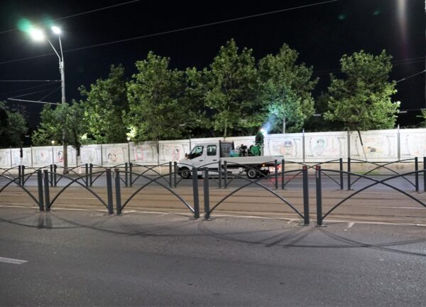 Tratamente împotriva țânțarilor. Începe prima etapă de dezinsecție în București