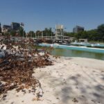 Chestionar pentru Ștrandul Tineretului. Bucureștenii sunt întrebați cum vor să arate viitorul „Parc Sportiv”, anunțat de primarul George Tuță încă din 2024. Foto: GSP/ 2022