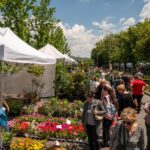 Concerte, ateliere interactive și spectacole, la West Side Flower Fest 2026. Programul evenimentului din weekendul 5-7 iunie