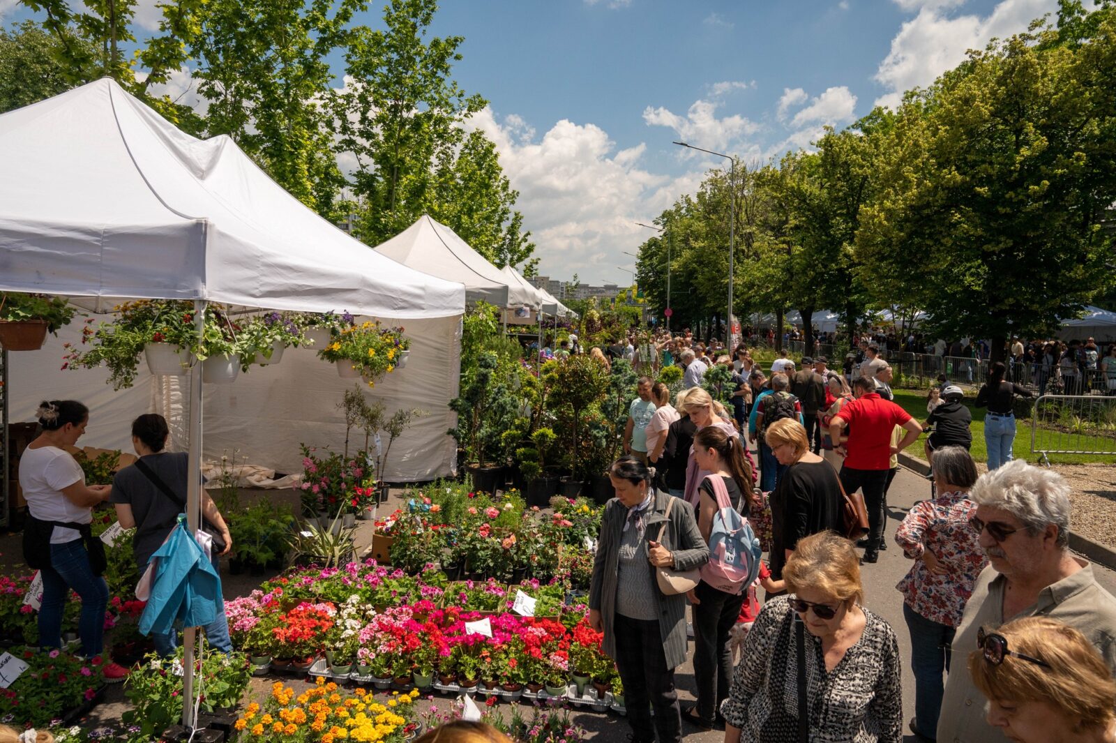 Concerte, ateliere interactive și spectacole, la West Side Flower Fest 2026. Programul evenimentului din weekendul 5-7 iunie