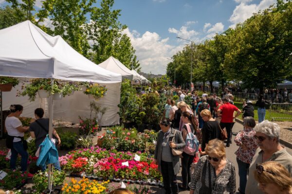 Concerte, ateliere interactive și spectacole, la West Side Flower Fest 2026. Programul evenimentului din weekendul 5-7 iunie