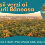 „Uriașii verzi ai Pădurii Băneasa”. Tur ghidat, gratuit, în acest weekend