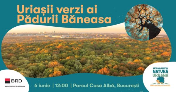 „Uriașii verzi ai Pădurii Băneasa”. Tur ghidat, gratuit, în acest weekend
