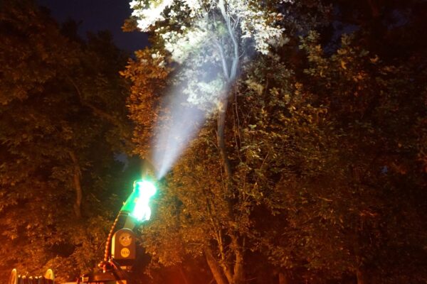 A demarat cel de-al doilea tratament împotriva țânțarilor, în Capitală. FOTO: Eco Igienizare