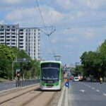 copaci pe mijlocul Căii Văcărești