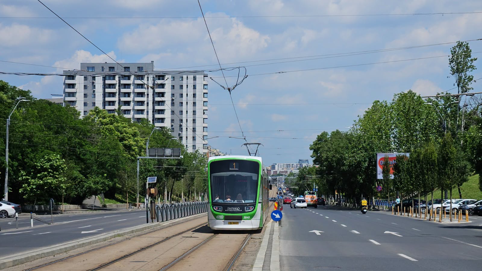 copaci pe mijlocul Căii Văcărești