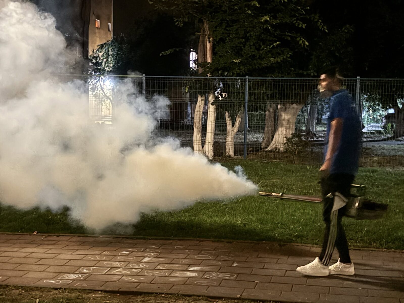 Al patrulea tratament împotriva țânțarilor va începe în această seară | FOTO: PMB