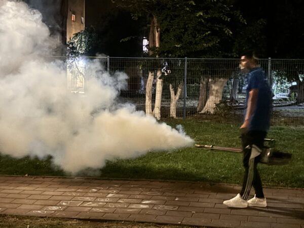 Al patrulea tratament împotriva țânțarilor va începe în această seară | FOTO: PMB