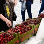 Festivalul Cireșelor și al Căpșunilor