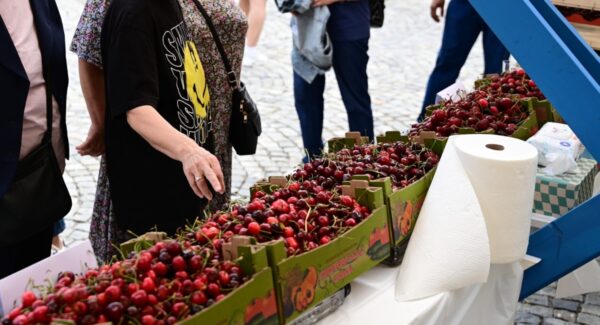Festivalul Cireșelor și al Căpșunilor