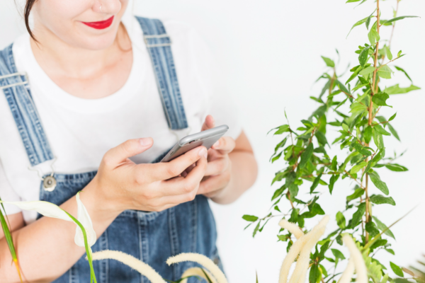 Telefoane recondiționate