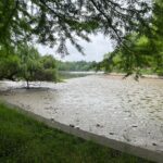 Ce ascunde golirea istorică a Lacului Herăstrău. FOTO: Cătălin Anghel-Dimache